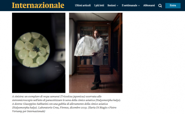 https://www.ilariadibiagio.com/site/files/gimgs/45_schermata-2019-12-16-alle-135804.png